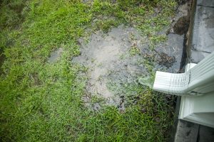 Hard rainwater pouring out of gutters and a drain spout after a day of heavy rains and storms